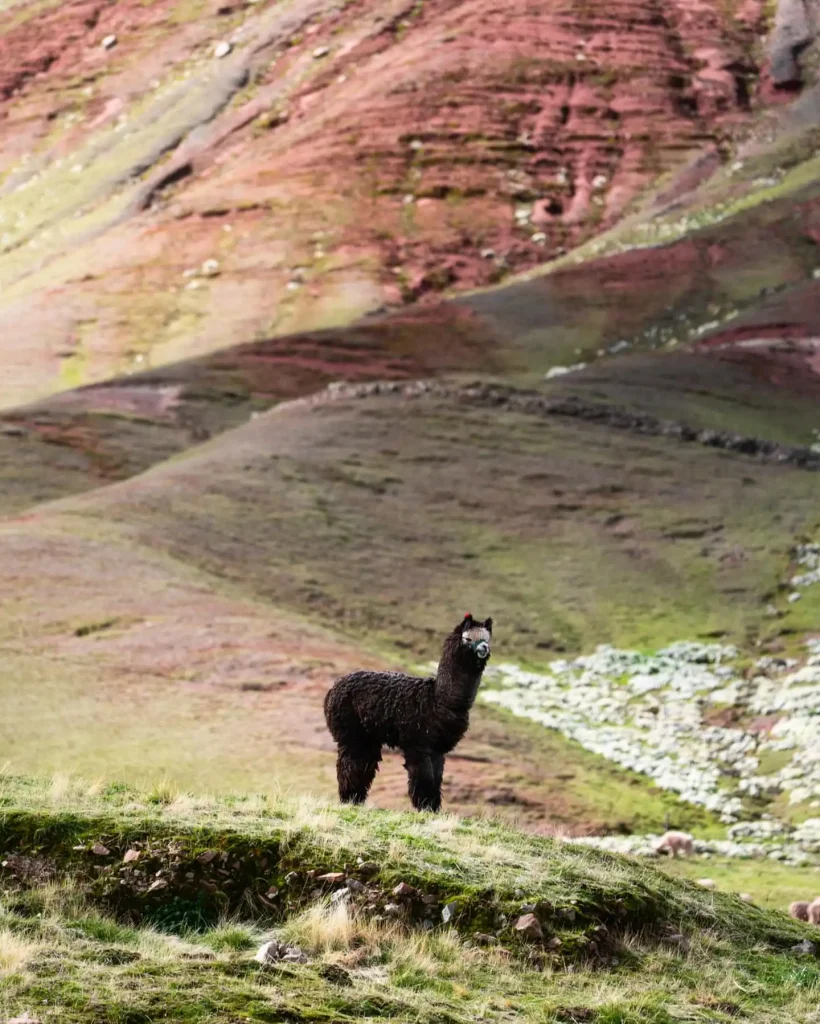 Palcoyo Rainbow Mountain