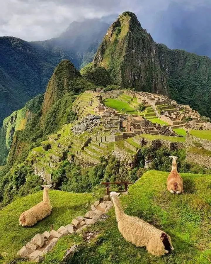 Short Inca Trail and Machu Picchu: 2 Days