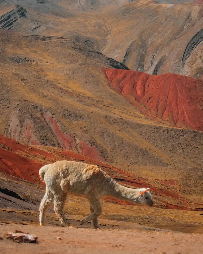 Palcoyo Rainbow Mountain