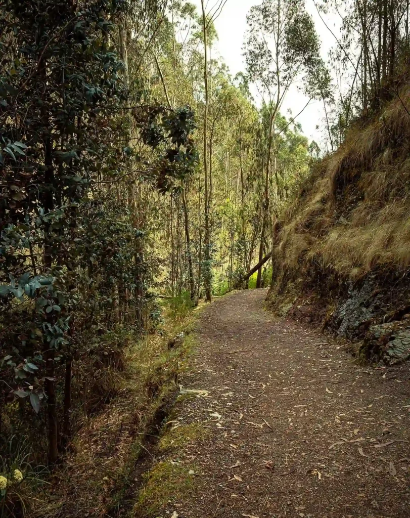 Antisuyo Trail and Machu Picchu 3 Days