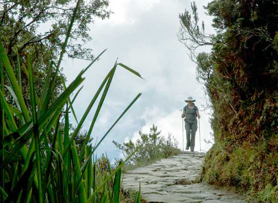 TREKKING TO MACHU PICCHU – IT’S NOT DIFFICULT AS YOU THINK!